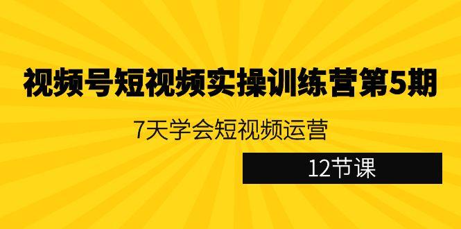 视频号短视频实操训练营第5期：7天学会短视频运营(12节课)-轻创网
