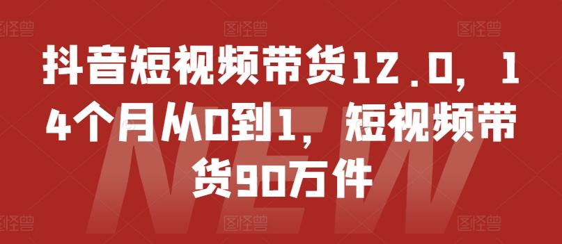 抖音短视频带货12.0，14个月从0到1，短视频带货90万件-轻创网