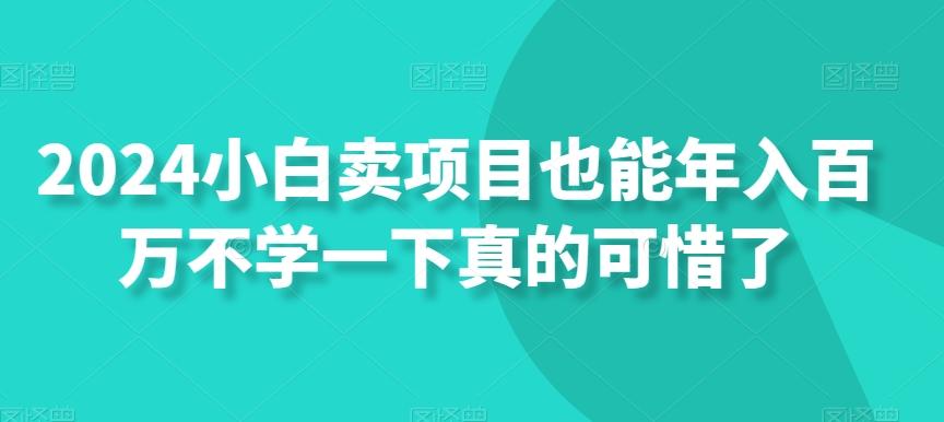 2024小白卖项目也能年入百万不学一下真的可惜了-轻创网