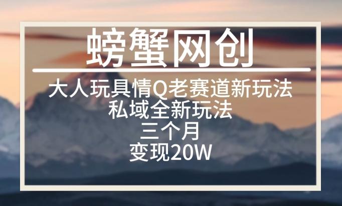 大人玩具情Q用品赛道私域全新玩法，三个月变现20W，老项目新思路【揭秘】-轻创网