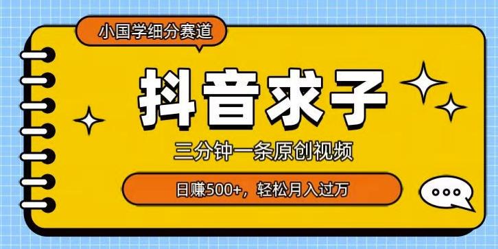 小国学细分赛道，三分钟一条原创视频，日赚500+，可矩阵复制-轻创网