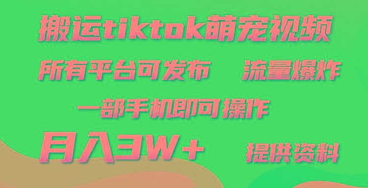 (9618期)搬运Tiktok萌宠类视频，一部手机即可。所有短视频平台均可操作，月入3W+-轻创网