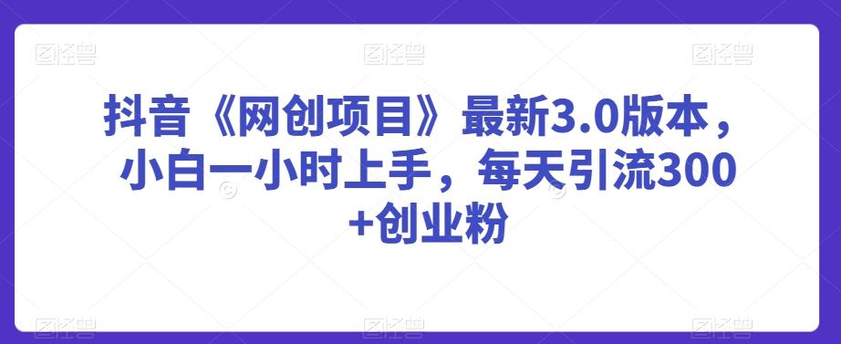 抖音《网创项目》最新3.0版本，小白一小时上手，每天引流300+创业粉【揭秘】-轻创网