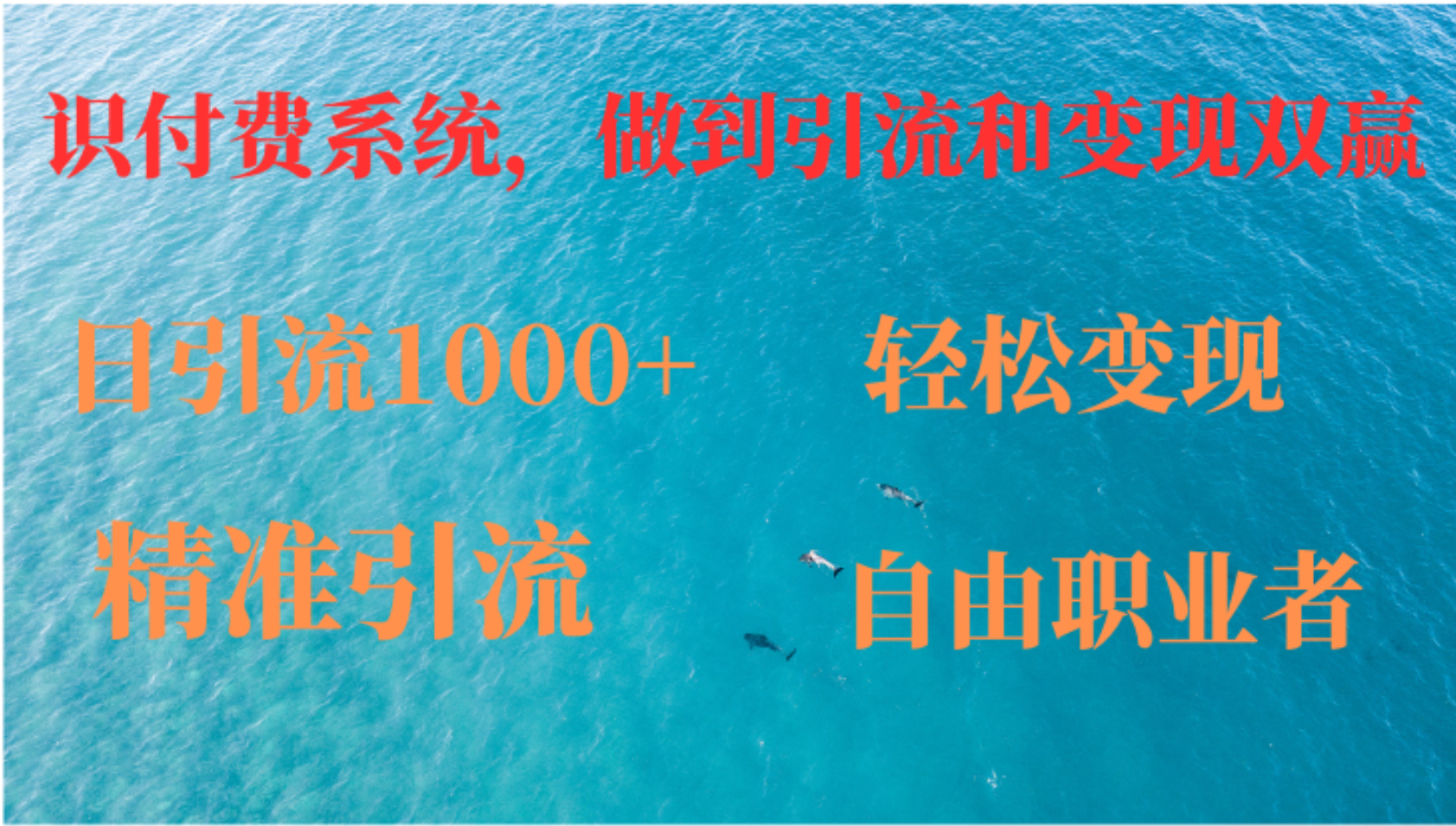 如何搭建自己的知识付费系统，做到引流和变现双赢-轻创网