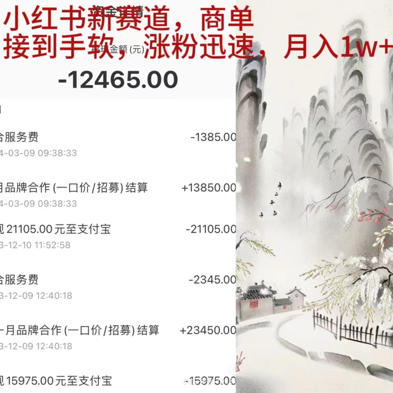 (9476期)小红书新赛道，商单接到手软，涨粉迅速，月入1w+-轻创网