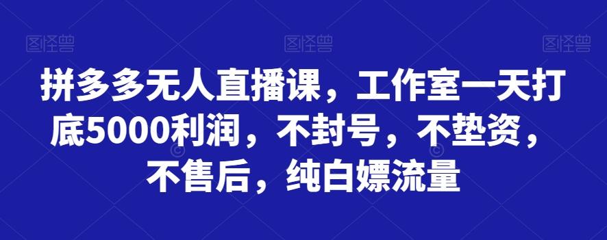 拼多多无人直播课，工作室一天打底5000利润，不封号，不垫资，不售后，纯白嫖流量-轻创网