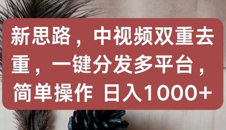 新思路，中视频双重去重，一键分发多平台，简单操作，日入1000+【揭秘】-轻创网