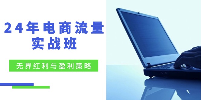 24年电商流量实战班：无界 红利与盈利策略，终极提升/关键词优化/精准…-轻创网