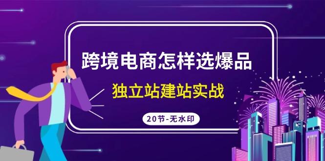 (9369期)跨境电商怎样选爆品，独立站建站实战(20节高清无水印课)-轻创网