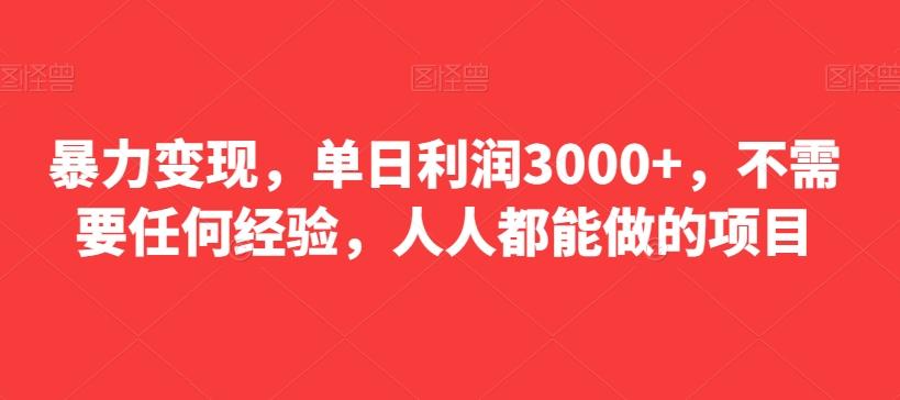暴力变现，单日利润3000+，不需要任何经验，人人都能做的项目-轻创网