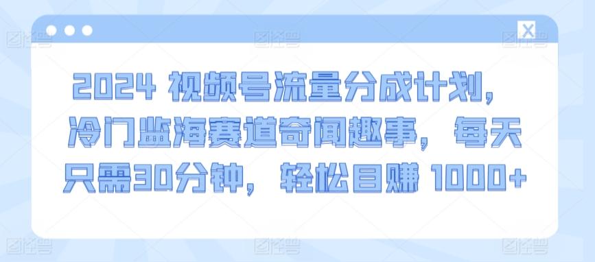 2024视频号流量分成计划，冷门监海赛道奇闻趣事，每天只需30分钟，轻松目赚 1000+【揭秘】-轻创网