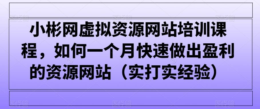 小彬网虚拟资源网站培训课程，如何一个月快速做出盈利的资源网站(实打实经验)-轻创网