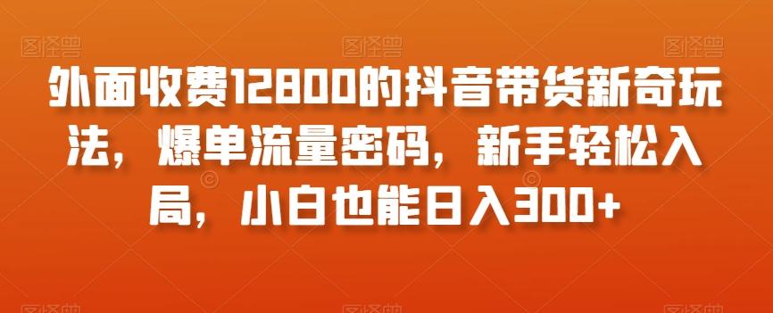 外面收费12800的抖音带货新奇玩法，爆单流量密码，新手轻松入局，小白也能日入300+【揭秘】-轻创网