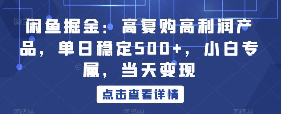 闲鱼掘金：高复购高利润产品，单日稳定500+，小白专属，当天变现-轻创网