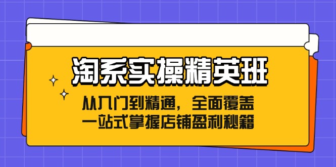 淘系实操精英班：从入门到精通，全面覆盖，一站式掌握店铺盈利秘籍-轻创网