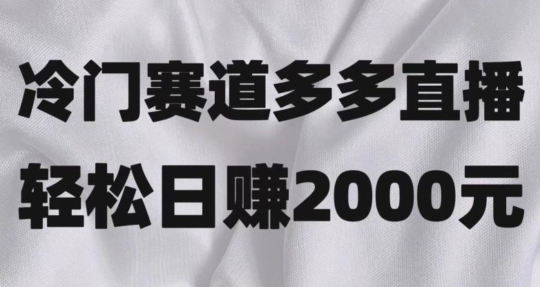 冷门赛道拼多多直播，简单念稿子，日收益2000＋【揭秘】-轻创网