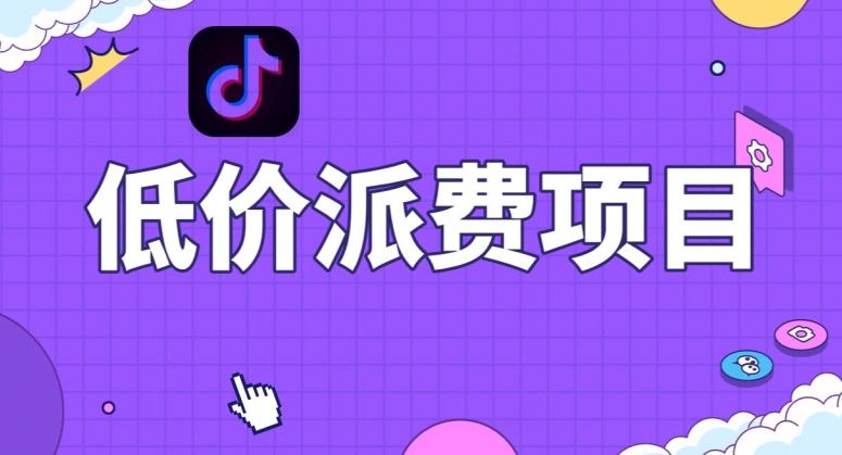 抖音低价派单项目，0门槛，日入1000+很轻松，小白可操作【揭秘】-轻创网