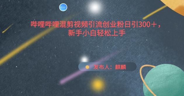 哔哩哔哩混剪视频引流创业粉日引300+，新手小白轻松上手【揭秘】-轻创网