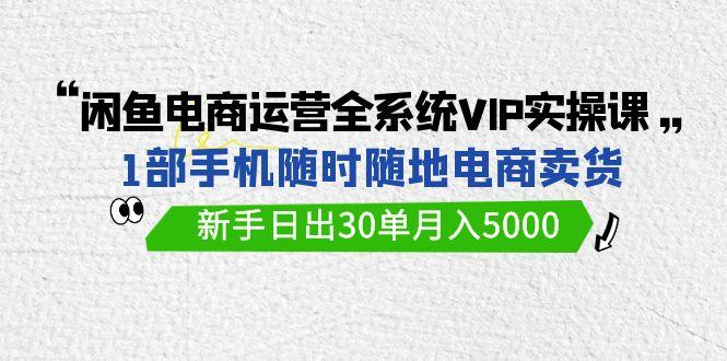 (9547期)闲鱼电商运营全系统VIP实战课，1部手机随时随地卖货，新手日出30单月入5000-轻创网