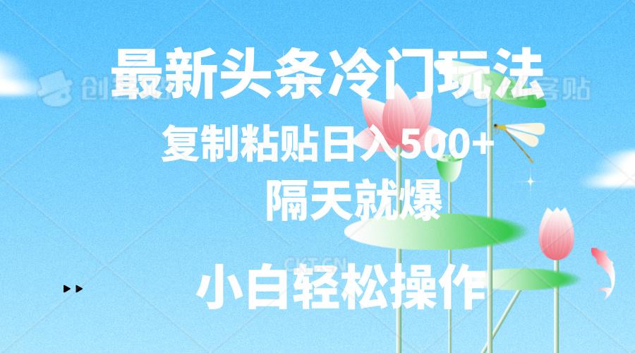 最新头条冷门玩法，隔天就爆，复制粘贴日入500+-轻创网