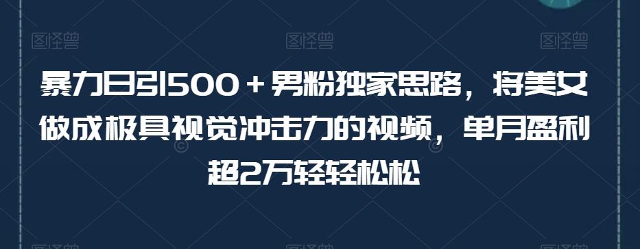 暴力日引500＋男粉独家思路，将美女做成极具视觉冲击力的视频，单月盈利超2万轻轻松松-轻创网