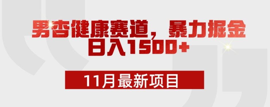 11月最新项目，男杏健康赛道，暴力掘金，日入1500+-轻创网