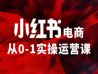 小红书电商从0-1实操运营课，让你从小白到精英-轻创网