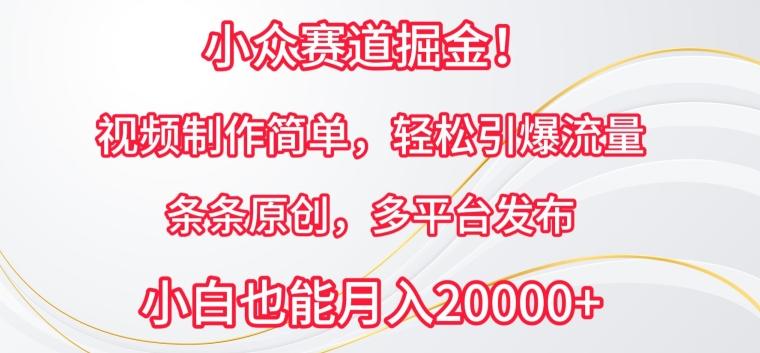 小众赛道掘金，视频制作简单，轻松引爆流量，条条原创，多平台发布【揭秘】-轻创网