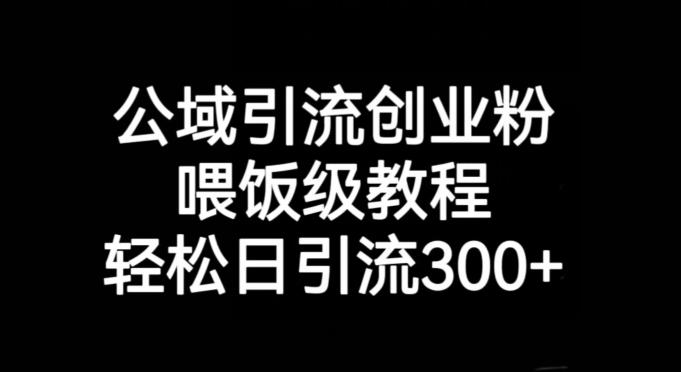 公域引流创业粉，喂饭级教程，轻松日引流300+【揭秘】-轻创网