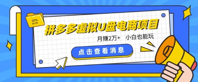 拼多多虚拟U盘电商红利项目：月赚2万+，新手小白也能玩-轻创网