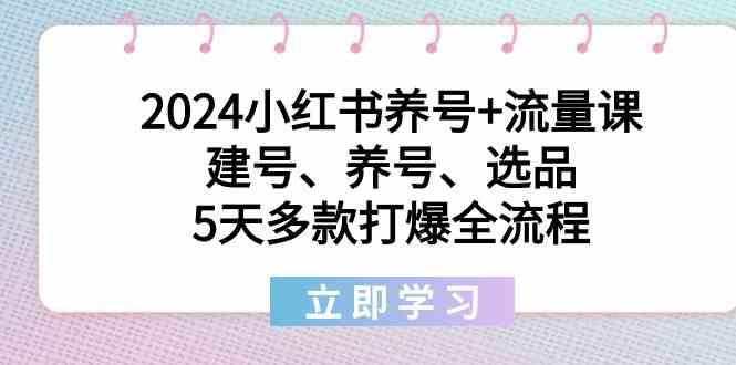 2024小红书养号+流量课：建号、养号、选品，5天多款打爆全流程-轻创网