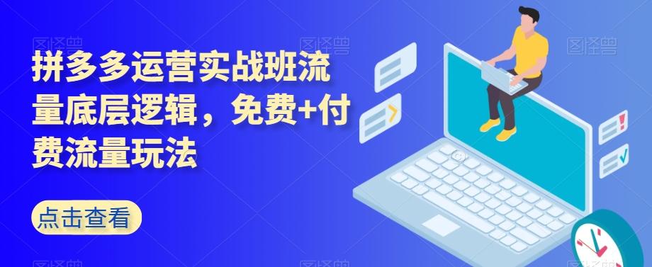 拼多多运营实战班流量底层逻辑，免费+付费流量玩法-轻创网