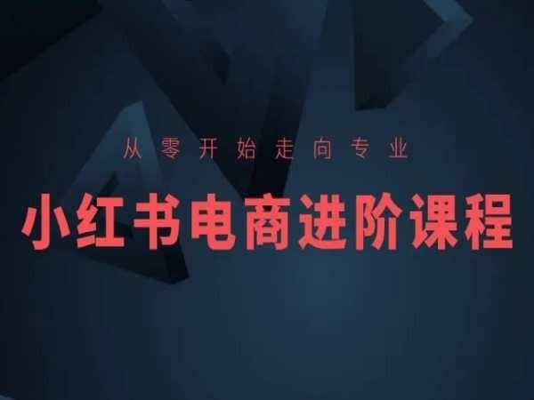 从零开始走向专业，小红书电商进阶课程-轻创网