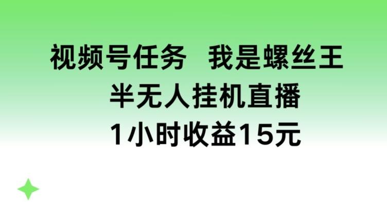 视频号任务，我是螺丝王， 半无人挂机1小时收益15元【揭秘】-轻创网