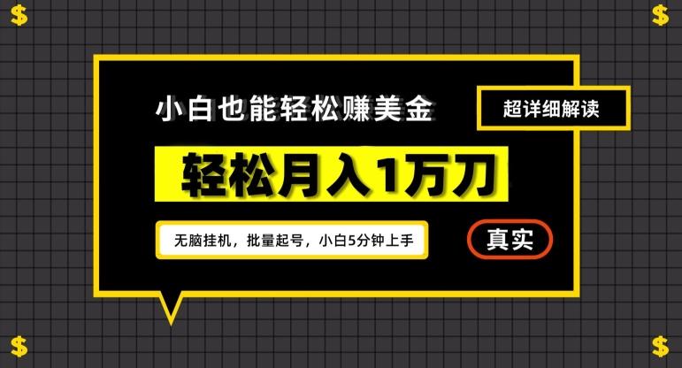 谷歌看广告撸美金2.0，无脑挂机，多号操作，月入1万刀【揭秘】-轻创网