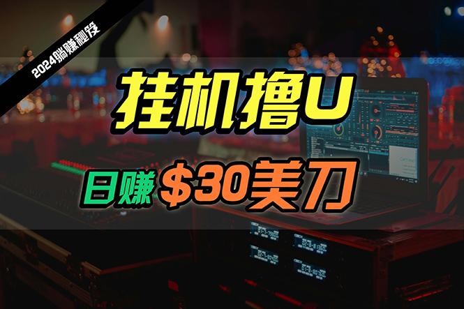 (10013期)日赚30美刀，2024最新海外挂机撸U内部项目，全程无人值守，可批量放大-轻创网