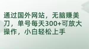 通过国外网站，无脑赚美刀，单号每天300+可放大操作，小白轻松上手【揭秘】-轻创网