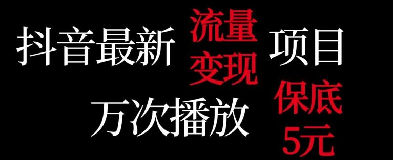 抖音流量变现，万次播放保底5元，额外收入-轻创网