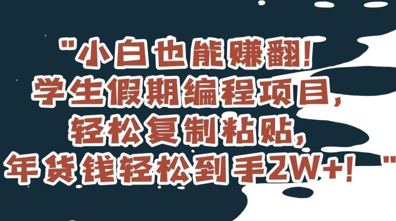 小白也能赚翻！学生假期编程项目，轻松复制粘贴，年货钱轻松到手2W+【揭秘】-轻创网
