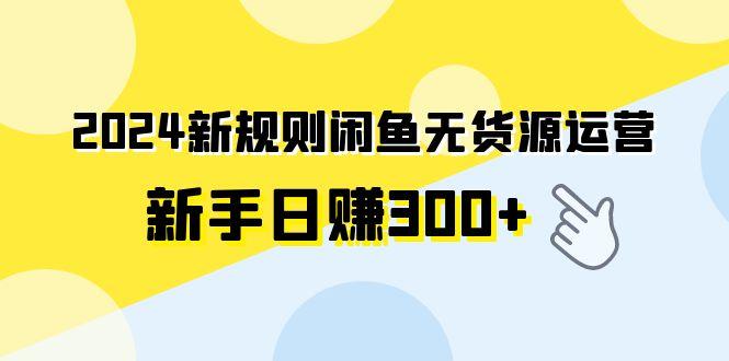 (9522期)2024新规则闲鱼无货源运营新手日赚300+-轻创网