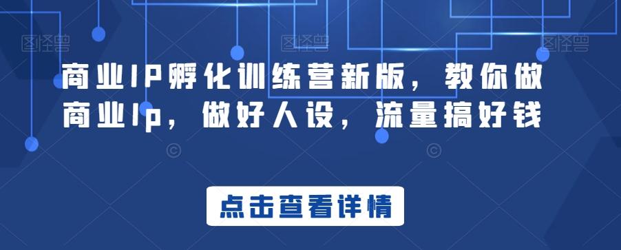 商业IP孵化训练营新版，教你做商业Ip，做好人设，流量搞好钱-轻创网