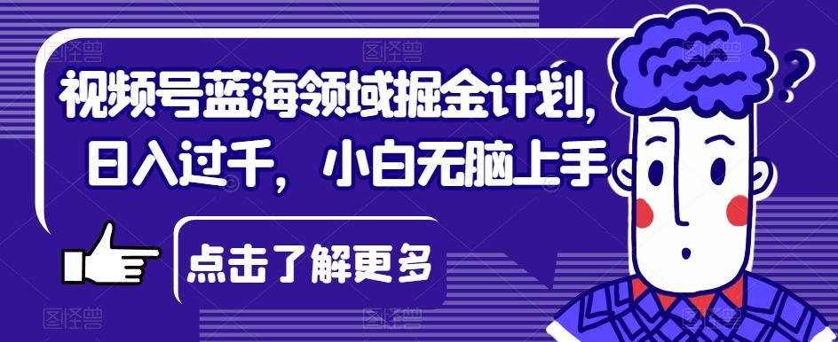 视频号蓝海领域掘金计划，日入过千，小白无脑上手【揭秘】-轻创网