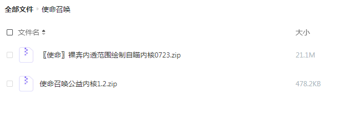 使命召唤裸奔内透范围绘制自瞄内核更新-轻创网