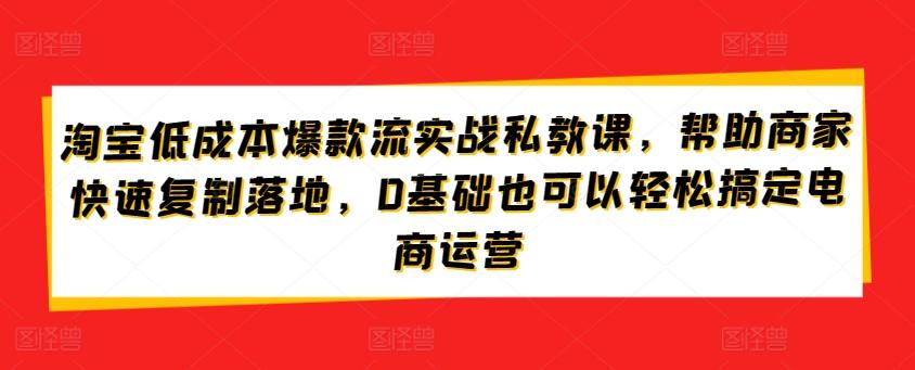 淘宝低成本爆款流实战私教课，帮助商家快速复制落地，0基础也可以轻松搞定电商运营-轻创网