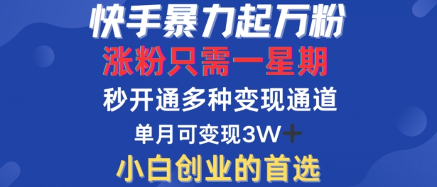 快手暴力起万粉，涨粉只需一星期，多种变现模式，直接秒开万合，单月变现过W【揭秘】-轻创网