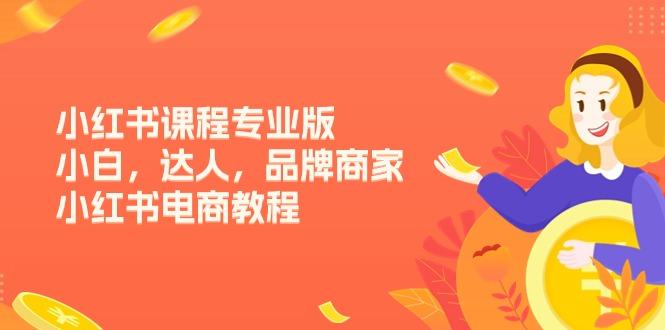 小红书课程专业版，小白，达人，品牌商家，小红书电商教程(15节-轻创网