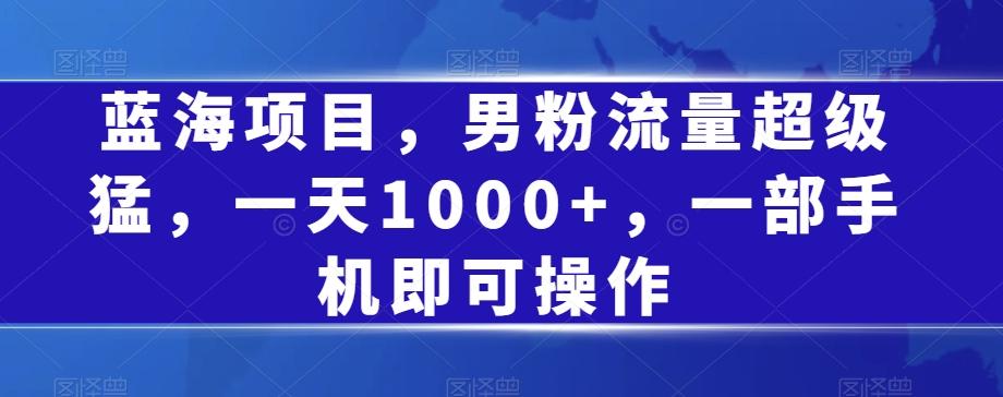 蓝海项目，男粉流量超级猛，一天1000+，一部手机即可操作【揭秘】-轻创网