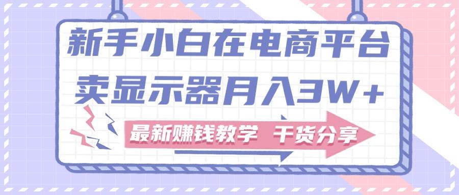 新手小白如何做到在电商平台卖显示器月入3W+，最新赚钱教学干货分享-轻创网