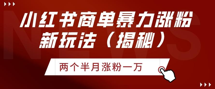 小红书商单暴力涨粉新玩法两个半月涨粉一万（揭秘）-轻创网