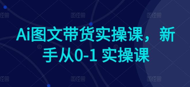 Ai图文带货实操课，新手从0-1 实操课-轻创网